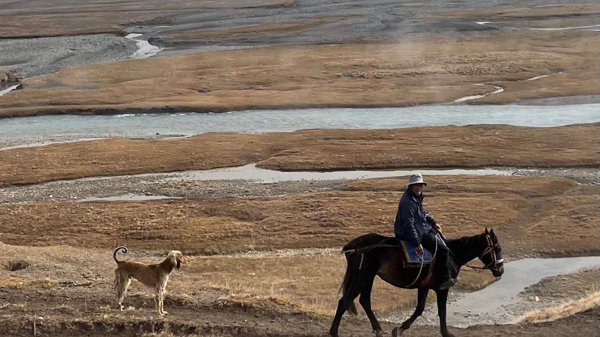 Zamir riding through a wide river valley with his dog