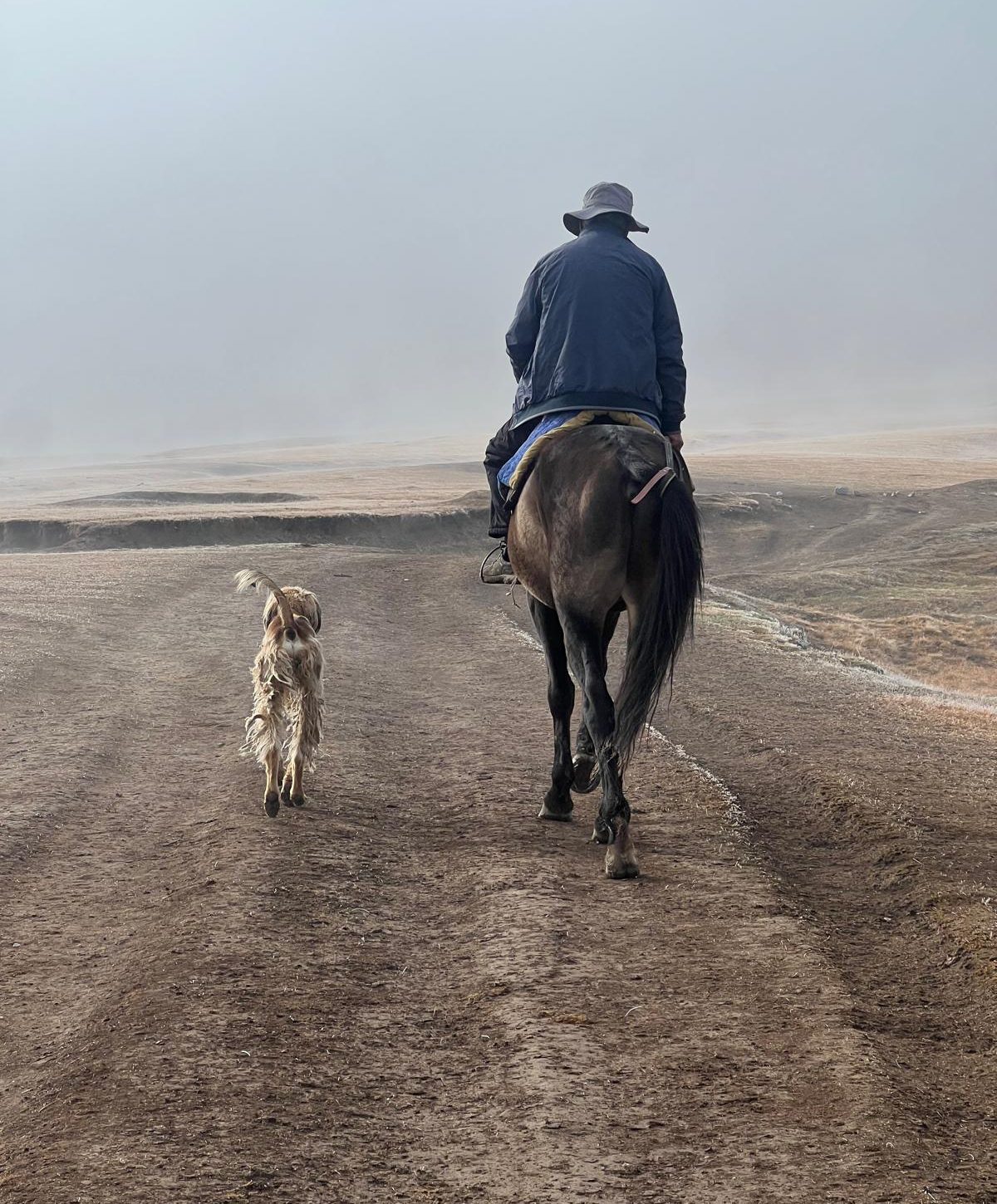 Zamir riding along a mountain track with his dog
